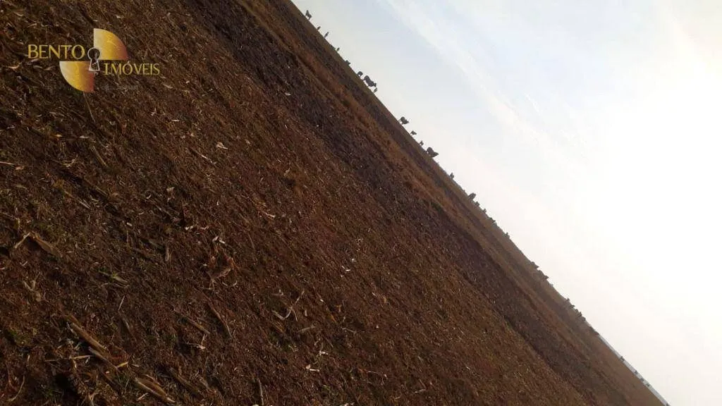 Farm for sale of 1,606 acres in Primavera do Leste, MT, Brazil