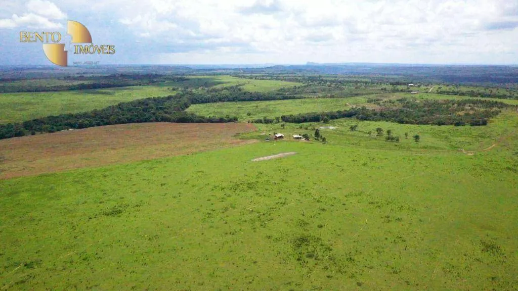 Farm for sale of 1,606 acres in Primavera do Leste, MT, Brazil