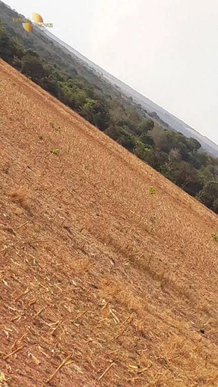 Farm for sale of 1,606 acres in Primavera do Leste, MT, Brazil