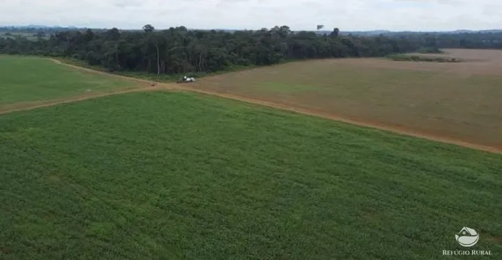 Fazenda à venda de 3.570 ha em Novo Progresso, PA, Brasil