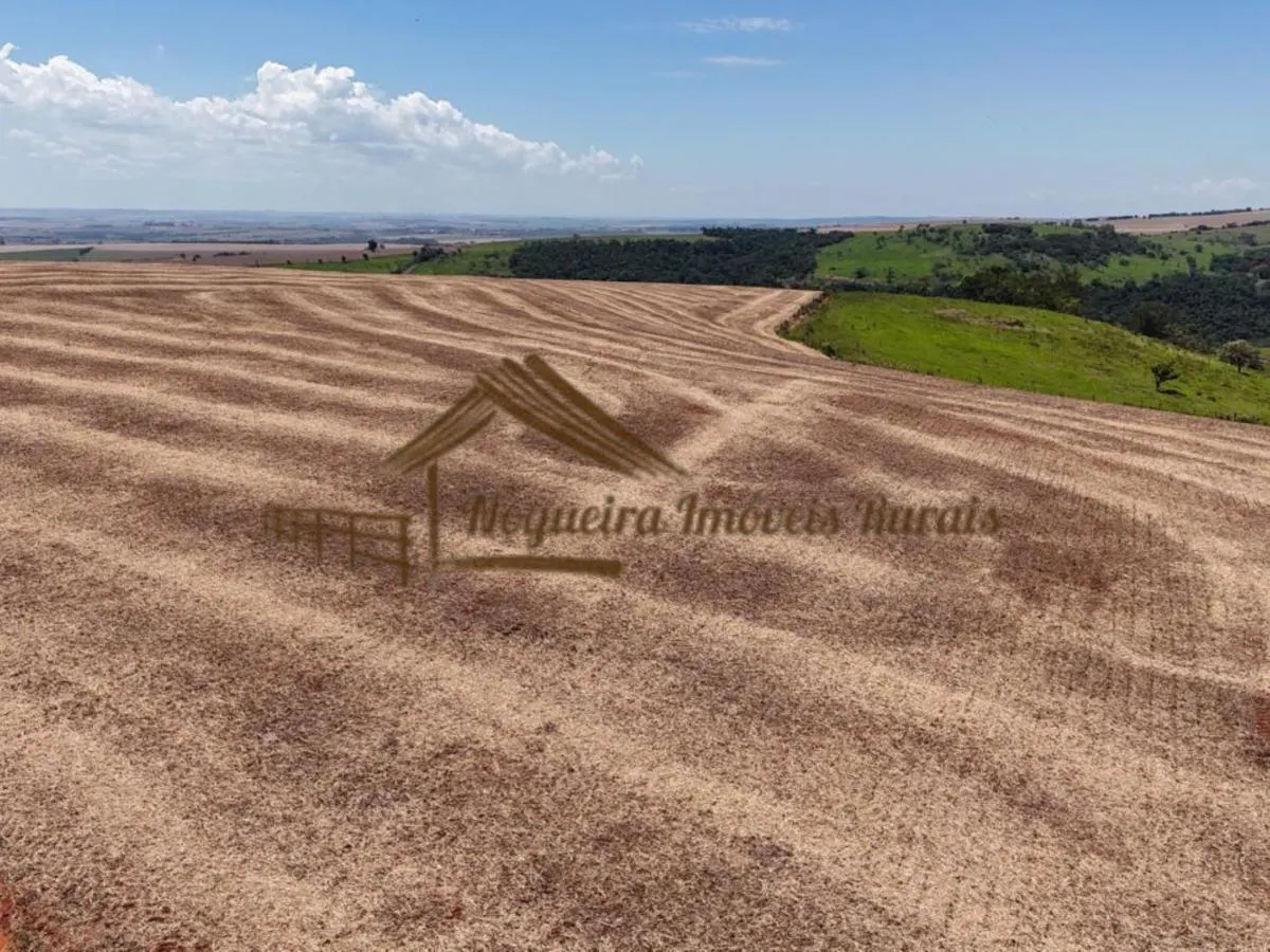 Fazenda à venda de 338 ha em Piraju, SP, Brasil