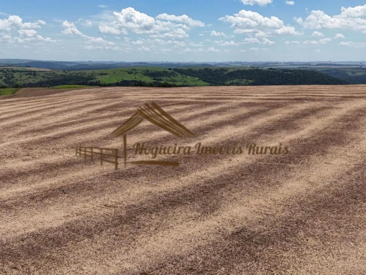 Fazenda à venda de 338 ha em Piraju, SP, Brasil