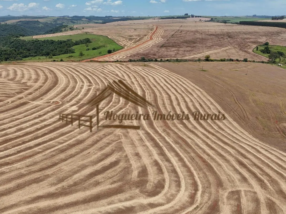 Fazenda à venda de 338 ha em Piraju, SP, Brasil