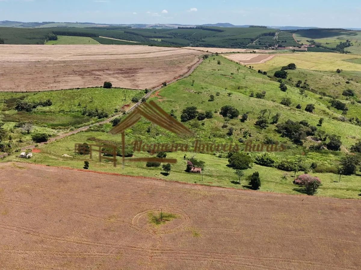Fazenda à venda de 338 ha em Piraju, SP, Brasil