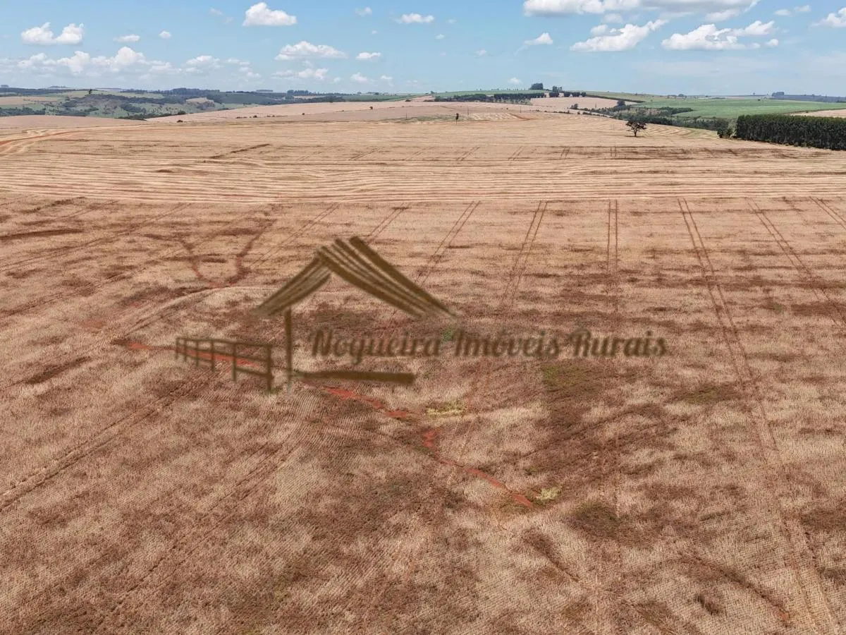 Fazenda à venda de 338 ha em Piraju, SP, Brasil