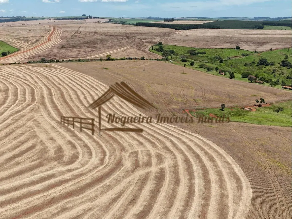 Fazenda à venda de 338 ha em Piraju, SP, Brasil