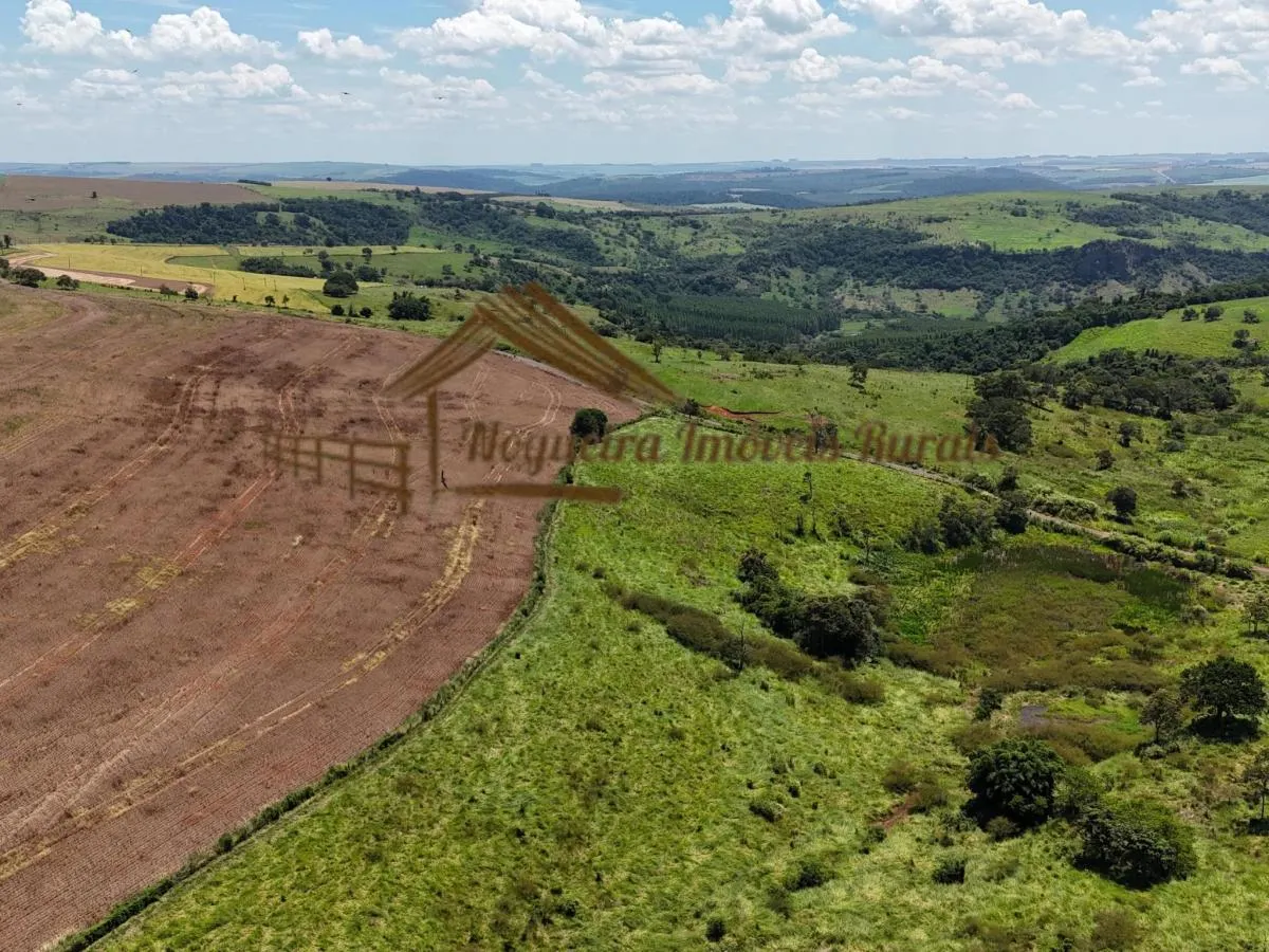 Fazenda à venda de 338 ha em Piraju, SP, Brasil