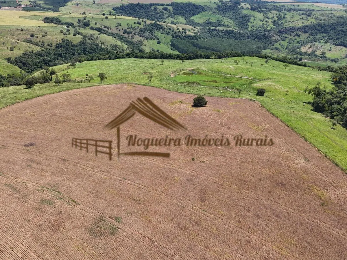 Fazenda à venda de 338 ha em Piraju, SP, Brasil