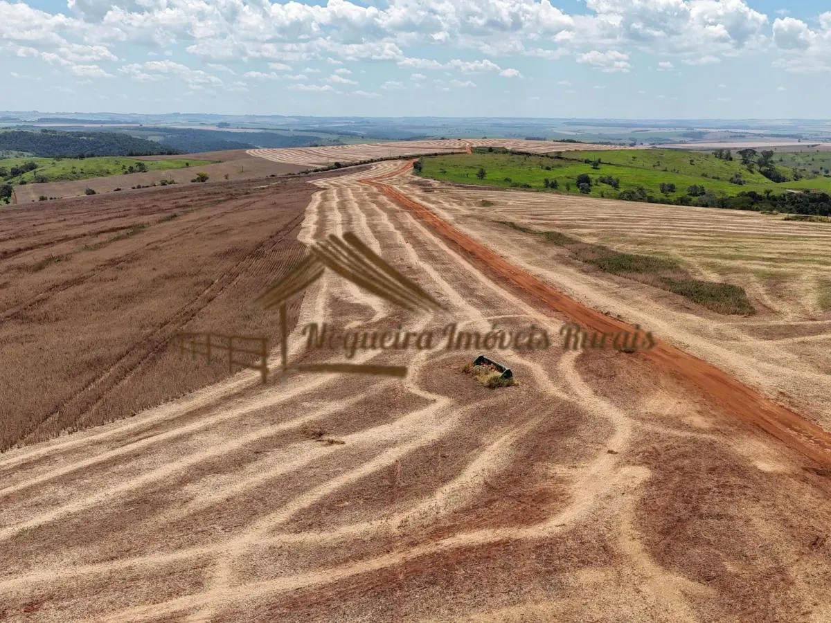 Fazenda à venda de 338 ha em Piraju, SP, Brasil