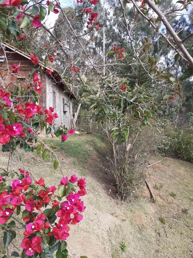 Sítio à venda de 2 ha em São Bento do Sapucaí, SP, Brasil