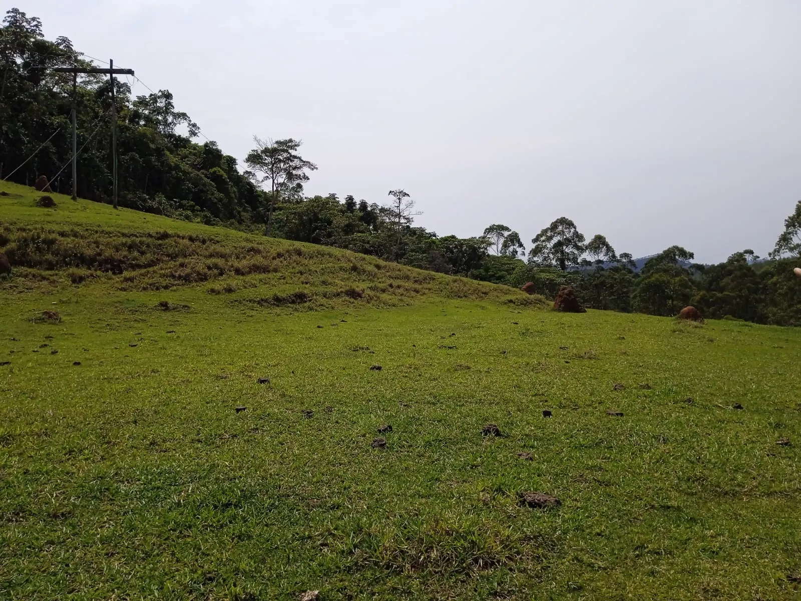 Plot for sale of 30 acres in Paraibuna, SP, Brazil