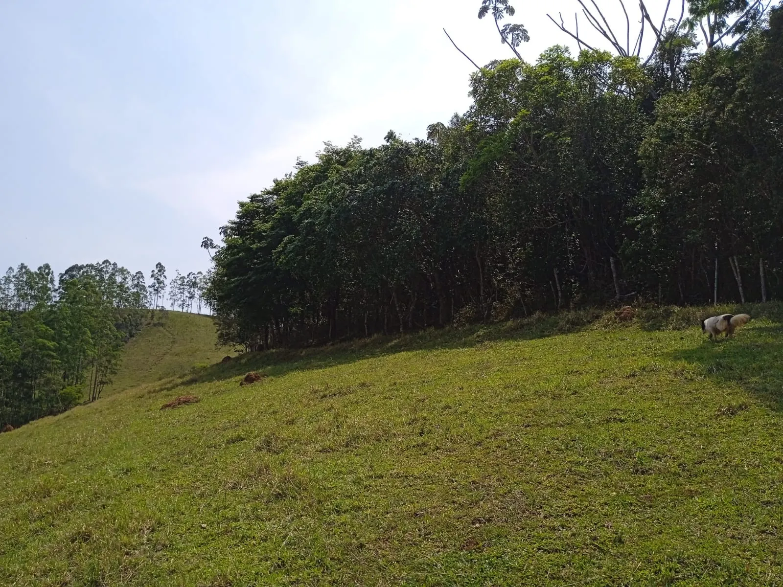 Plot for sale of 30 acres in Paraibuna, SP, Brazil