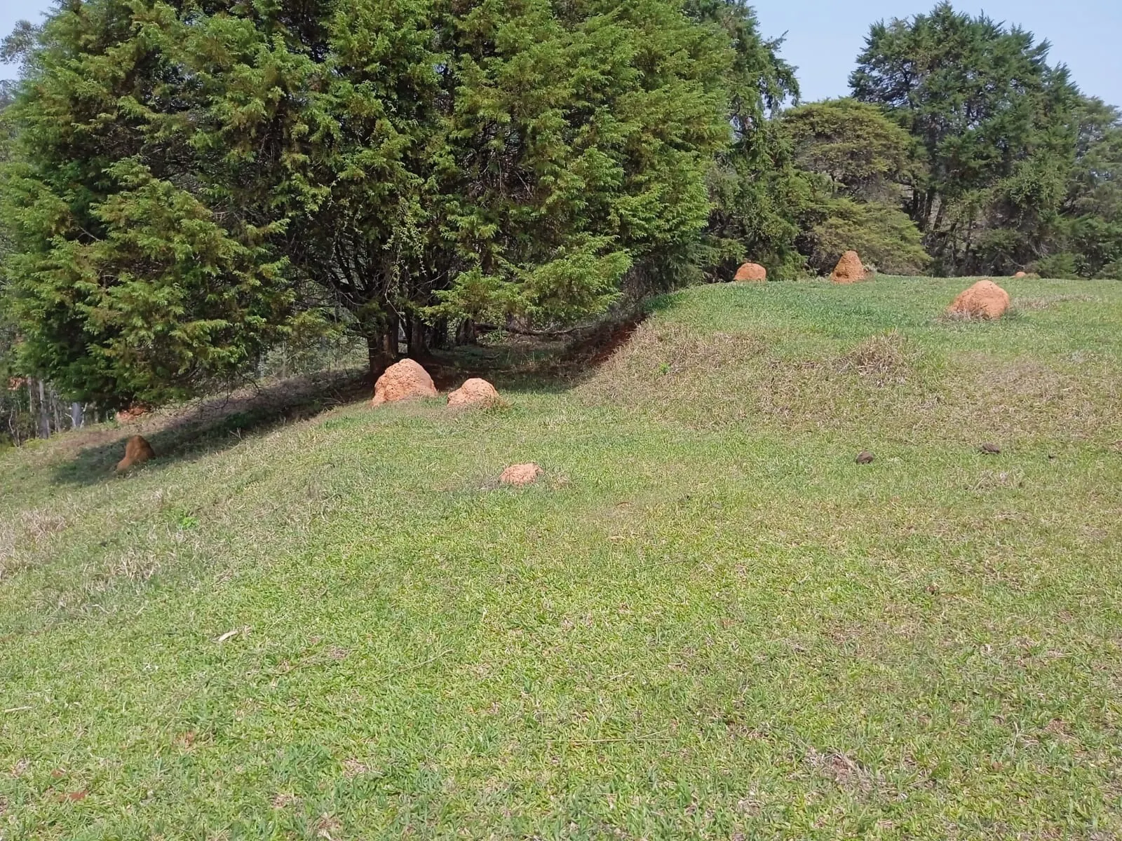 Plot for sale of 30 acres in Paraibuna, SP, Brazil