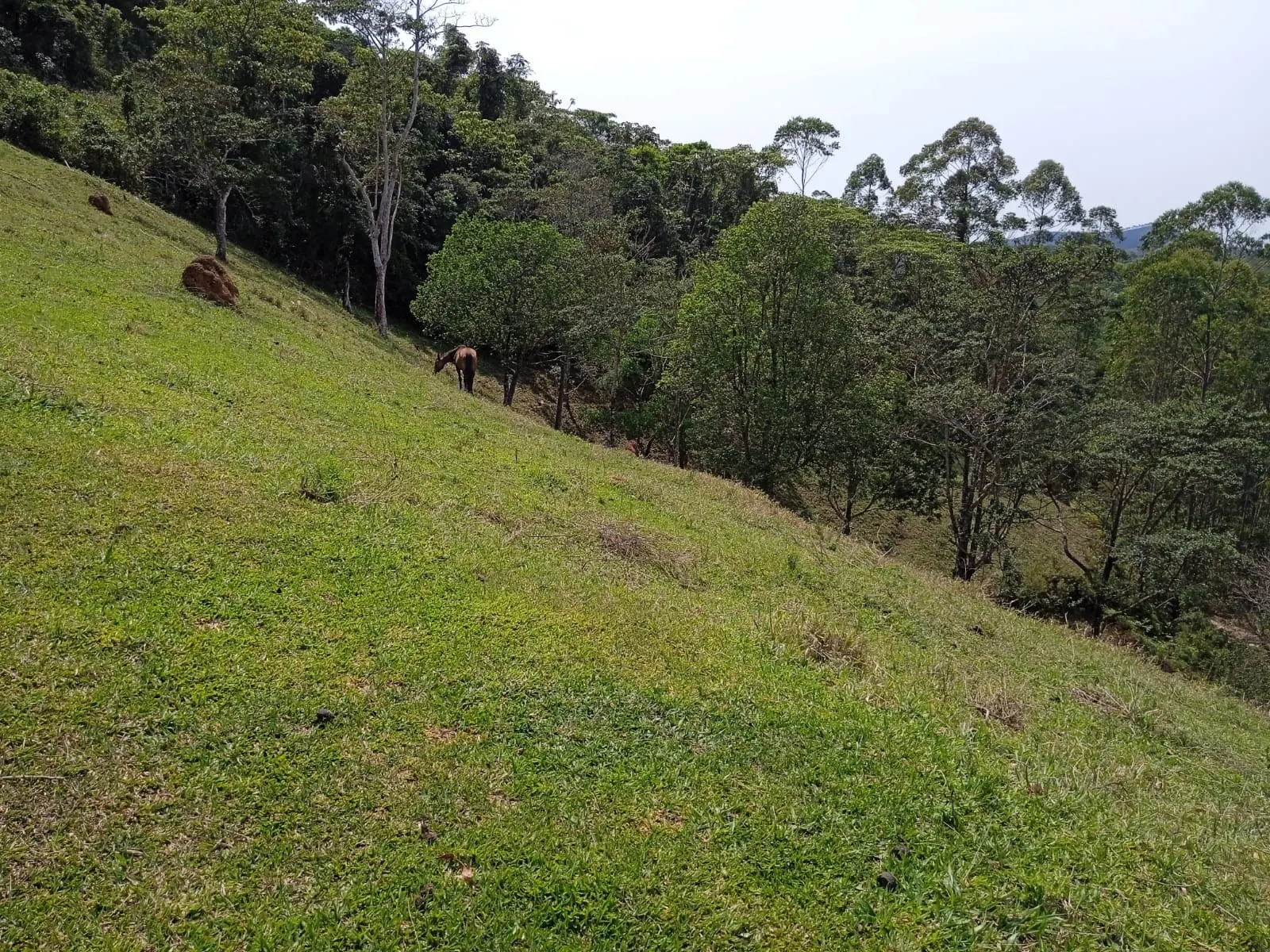 Plot for sale of 30 acres in Paraibuna, SP, Brazil