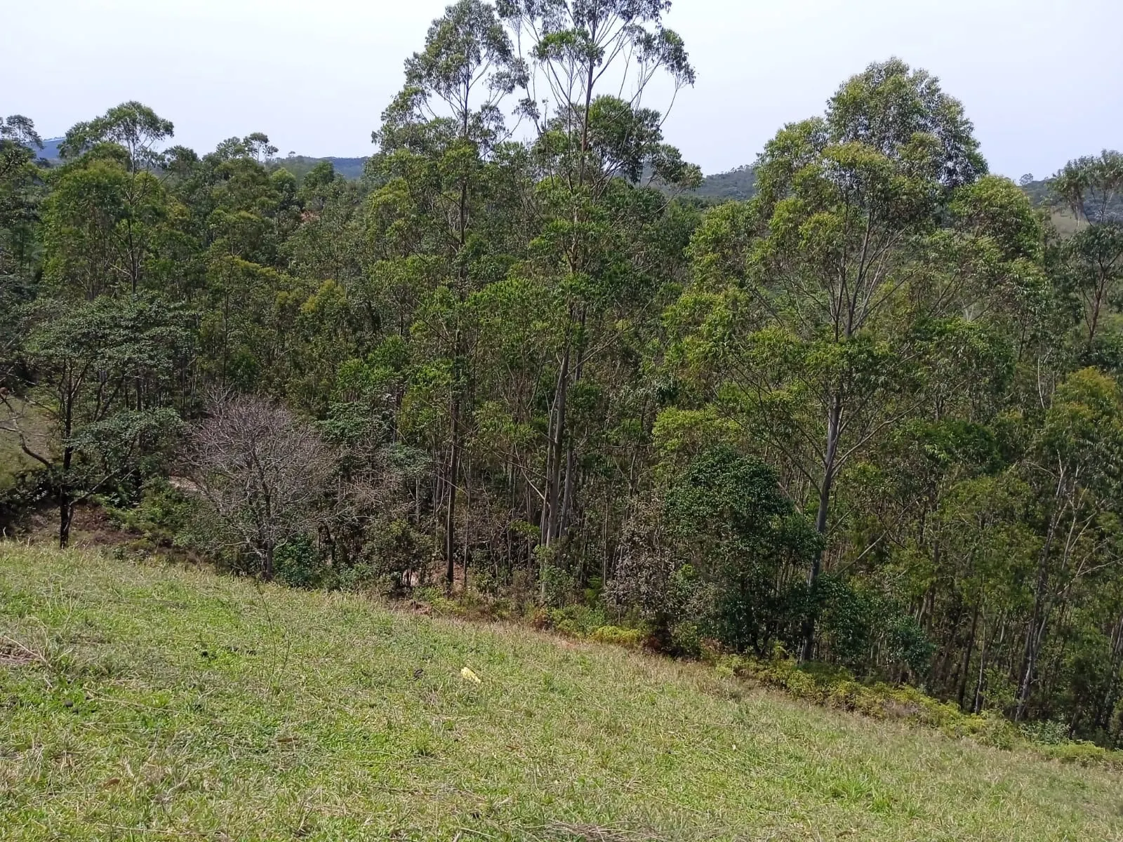 Plot for sale of 30 acres in Paraibuna, SP, Brazil