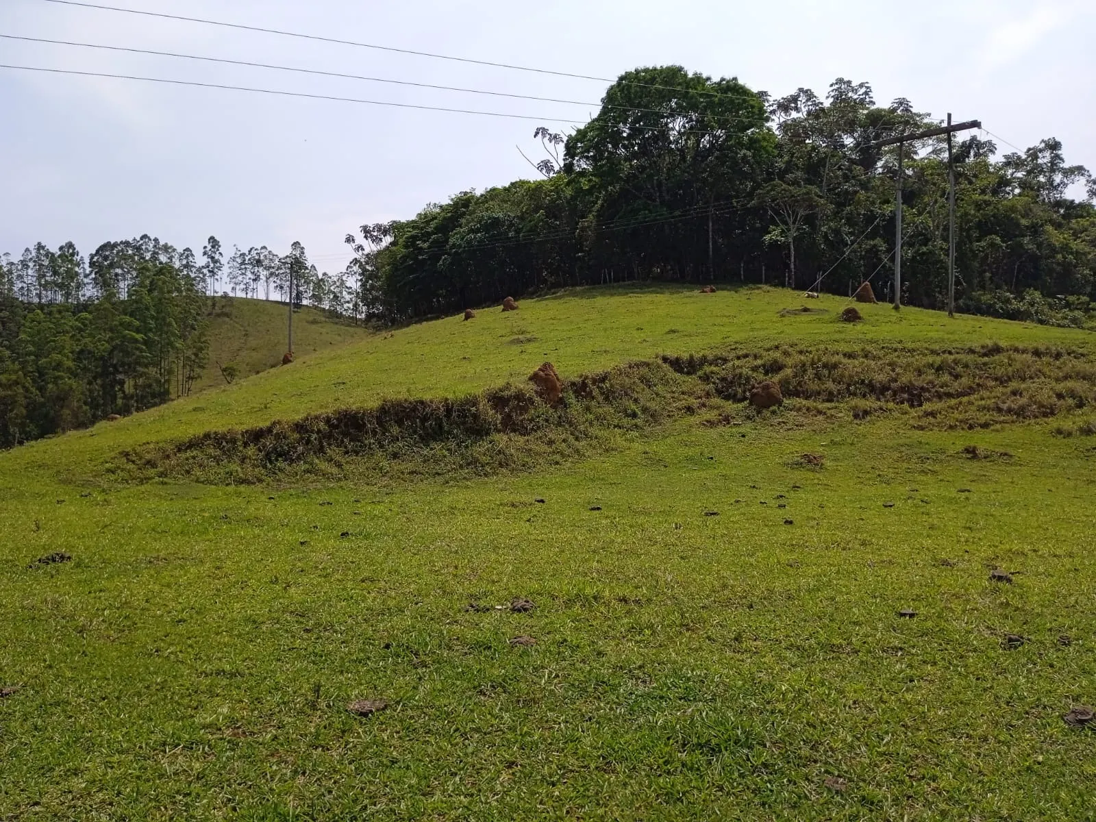 Plot for sale of 30 acres in Paraibuna, SP, Brazil