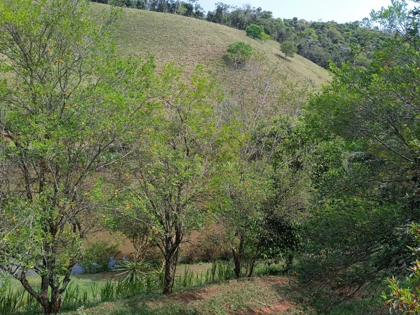 Plot for sale of 30 acres in Paraibuna, SP, Brazil