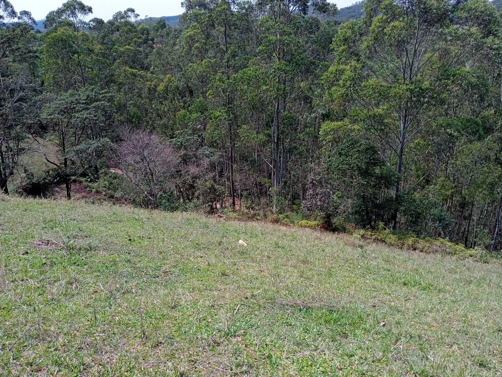 Plot for sale of 30 acres in Paraibuna, SP, Brazil