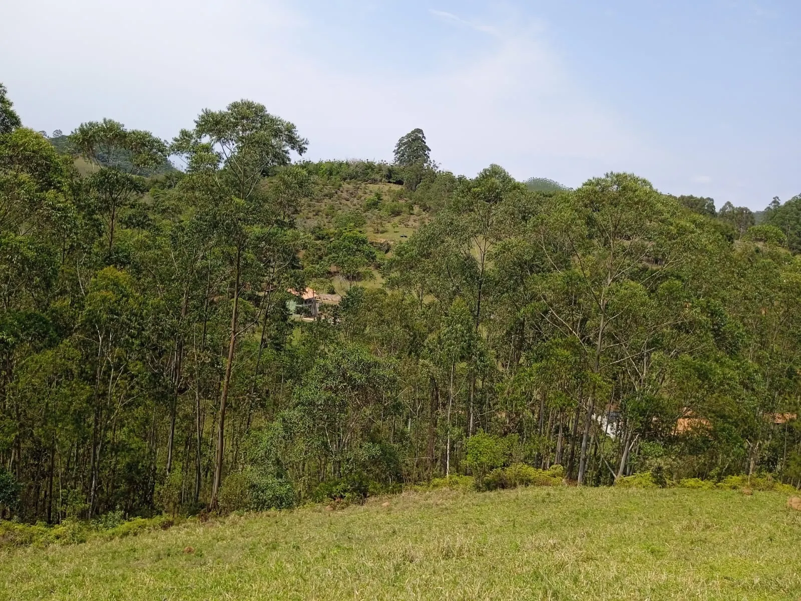 Plot for sale of 30 acres in Paraibuna, SP, Brazil