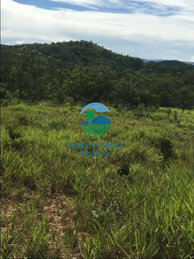 Fazenda à venda de 1.021 ha em Cavalcante, GO, Brasil