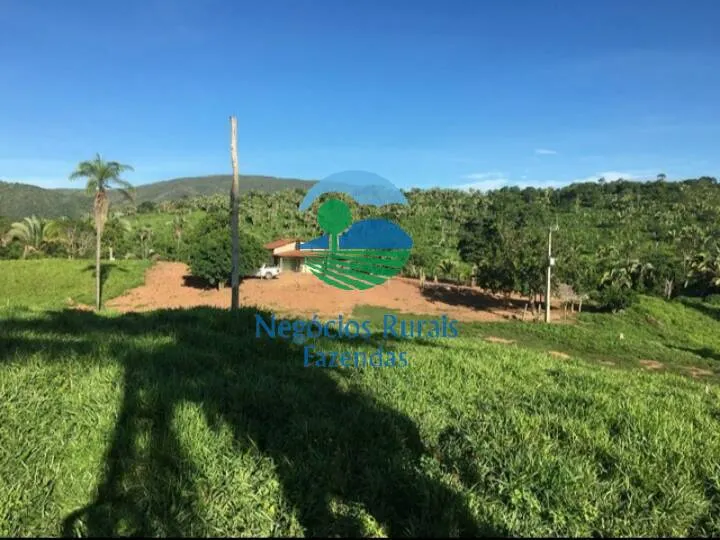 Fazenda à venda de 1.021 ha em Cavalcante, GO, Brasil
