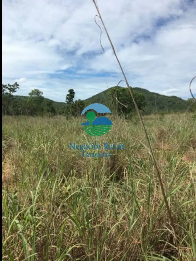Fazenda à venda de 1.021 ha em Cavalcante, GO, Brasil