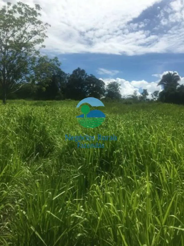 Fazenda à venda de 1.021 ha em Cavalcante, GO, Brasil