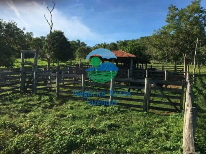 Fazenda à venda de 1.021 ha em Cavalcante, GO, Brasil