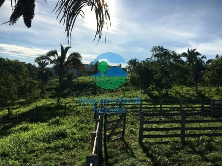Fazenda à venda de 1.021 ha em Cavalcante, GO, Brasil