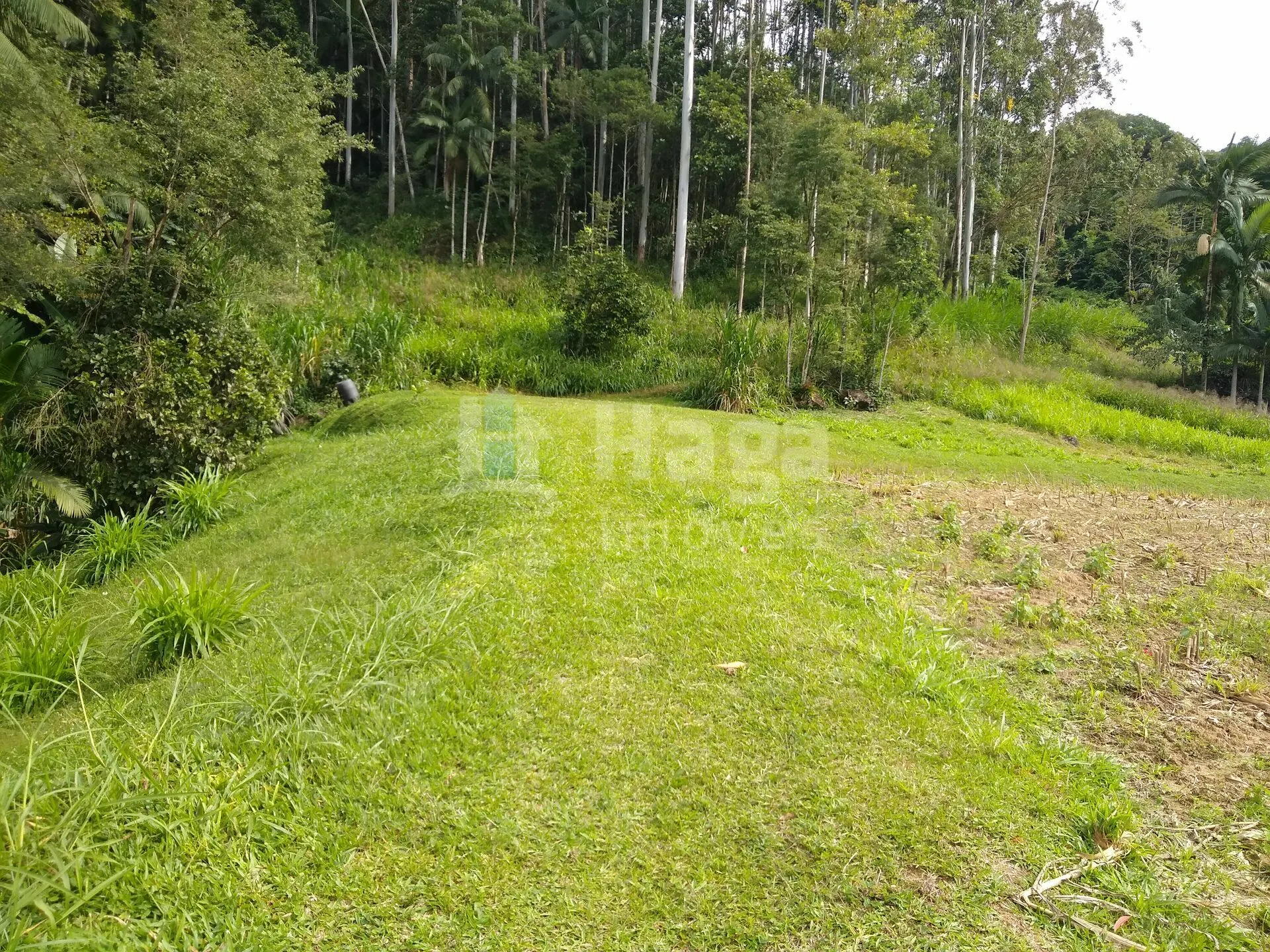 Fazenda à venda de 2 ha em Rio dos Cedros, SC, Brasil