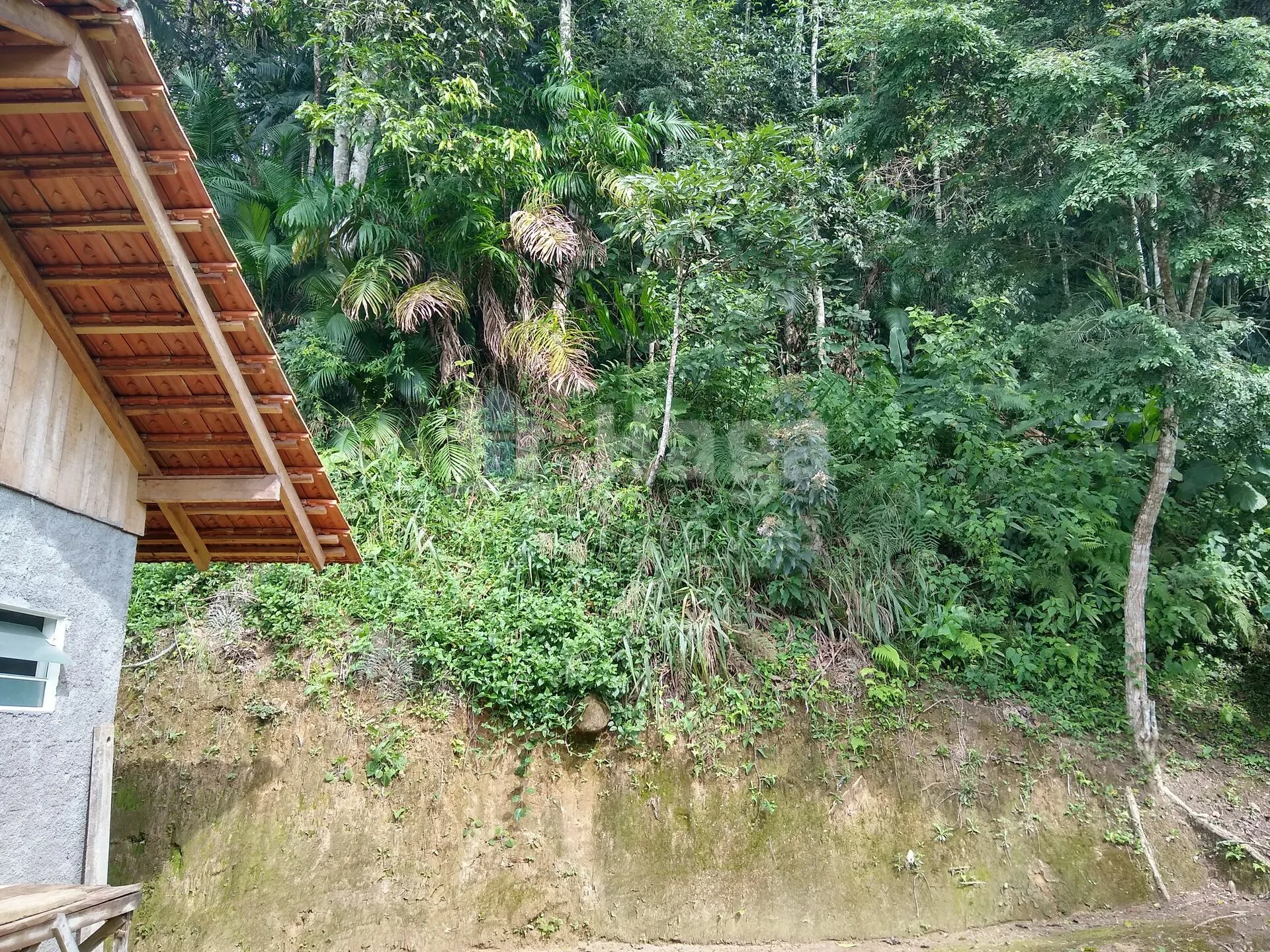 Fazenda à venda de 2 ha em Rio dos Cedros, SC, Brasil