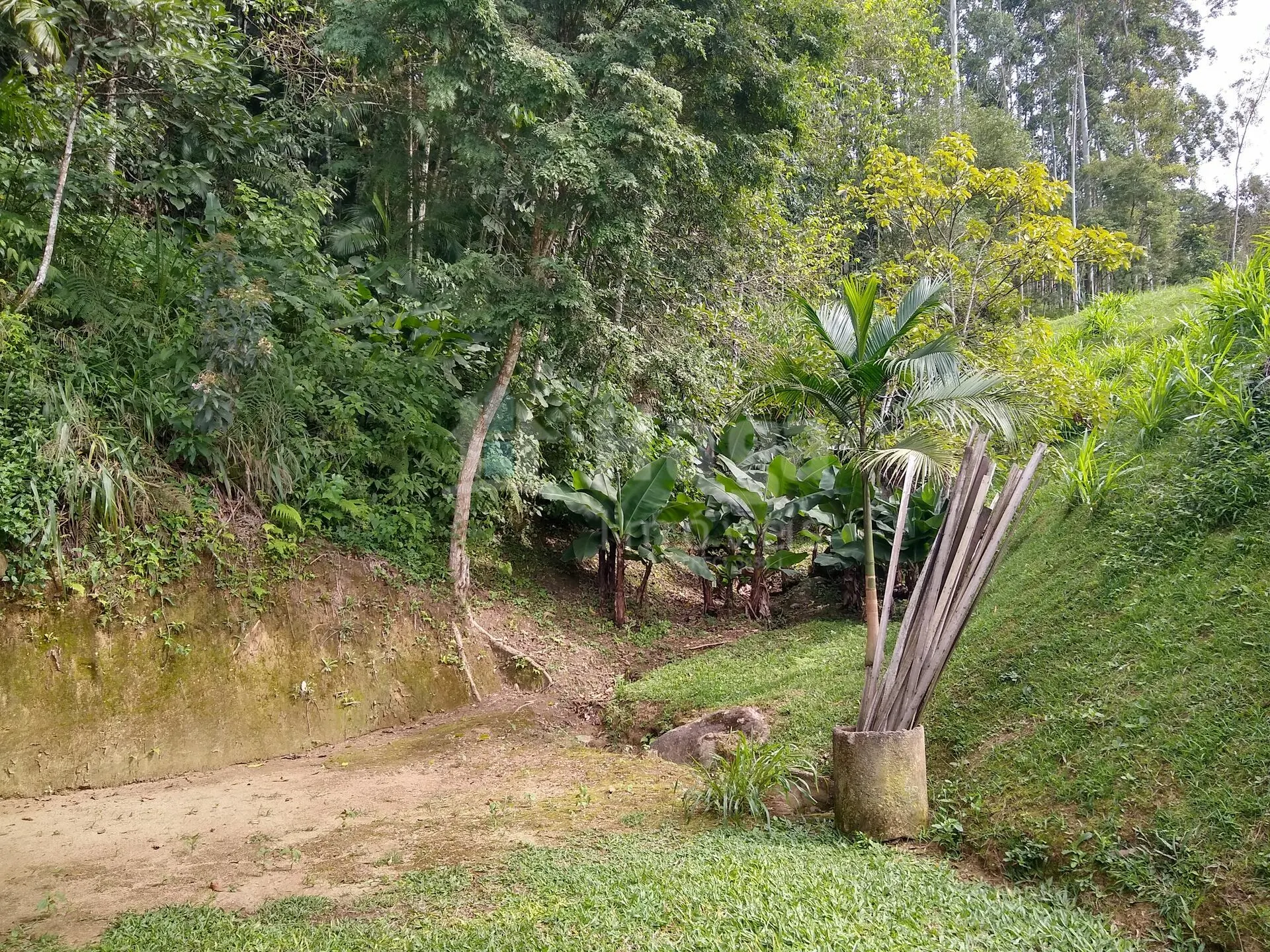 Fazenda à venda de 2 ha em Rio dos Cedros, SC, Brasil