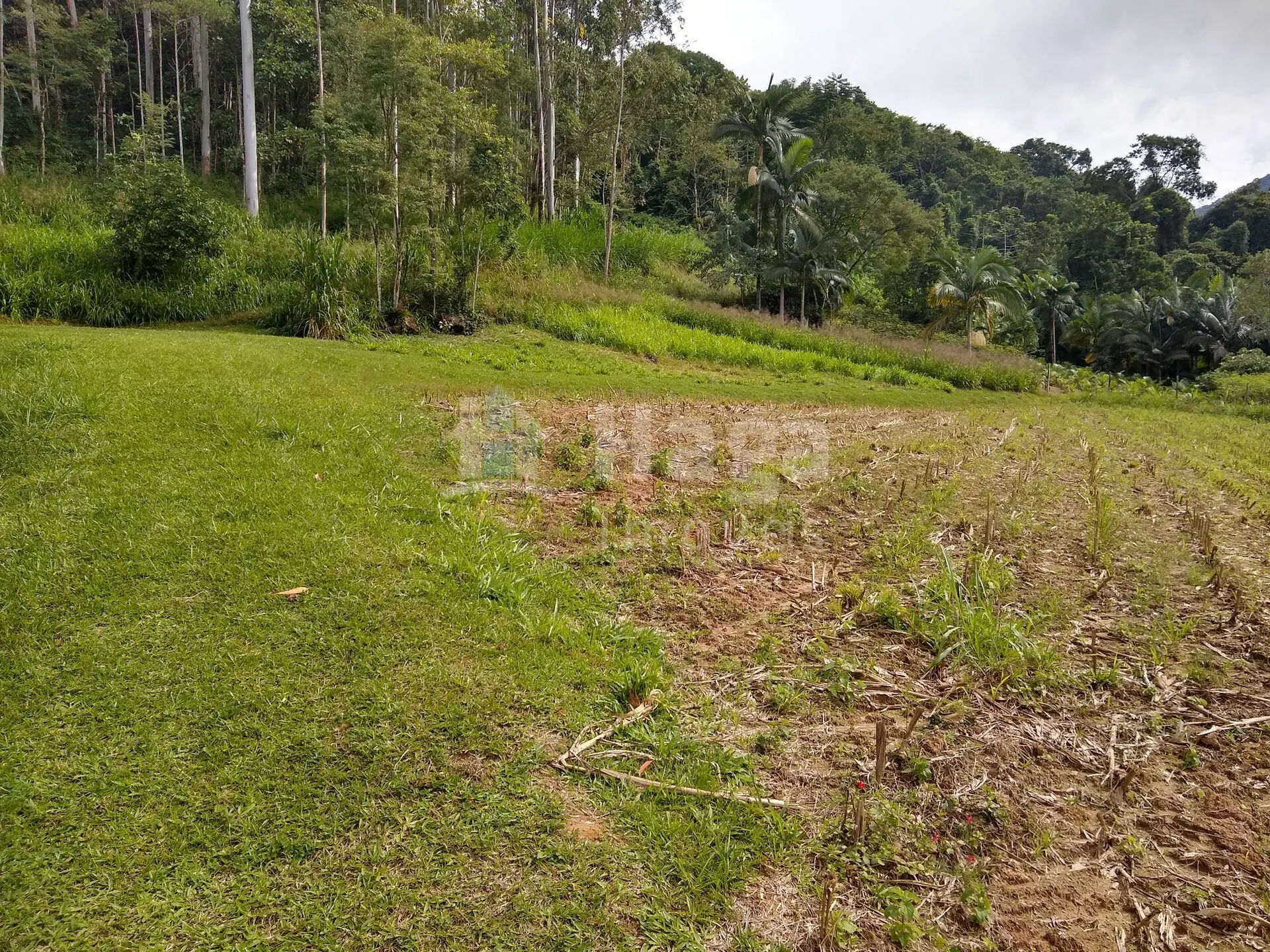 Fazenda à venda de 2 ha em Rio dos Cedros, SC, Brasil