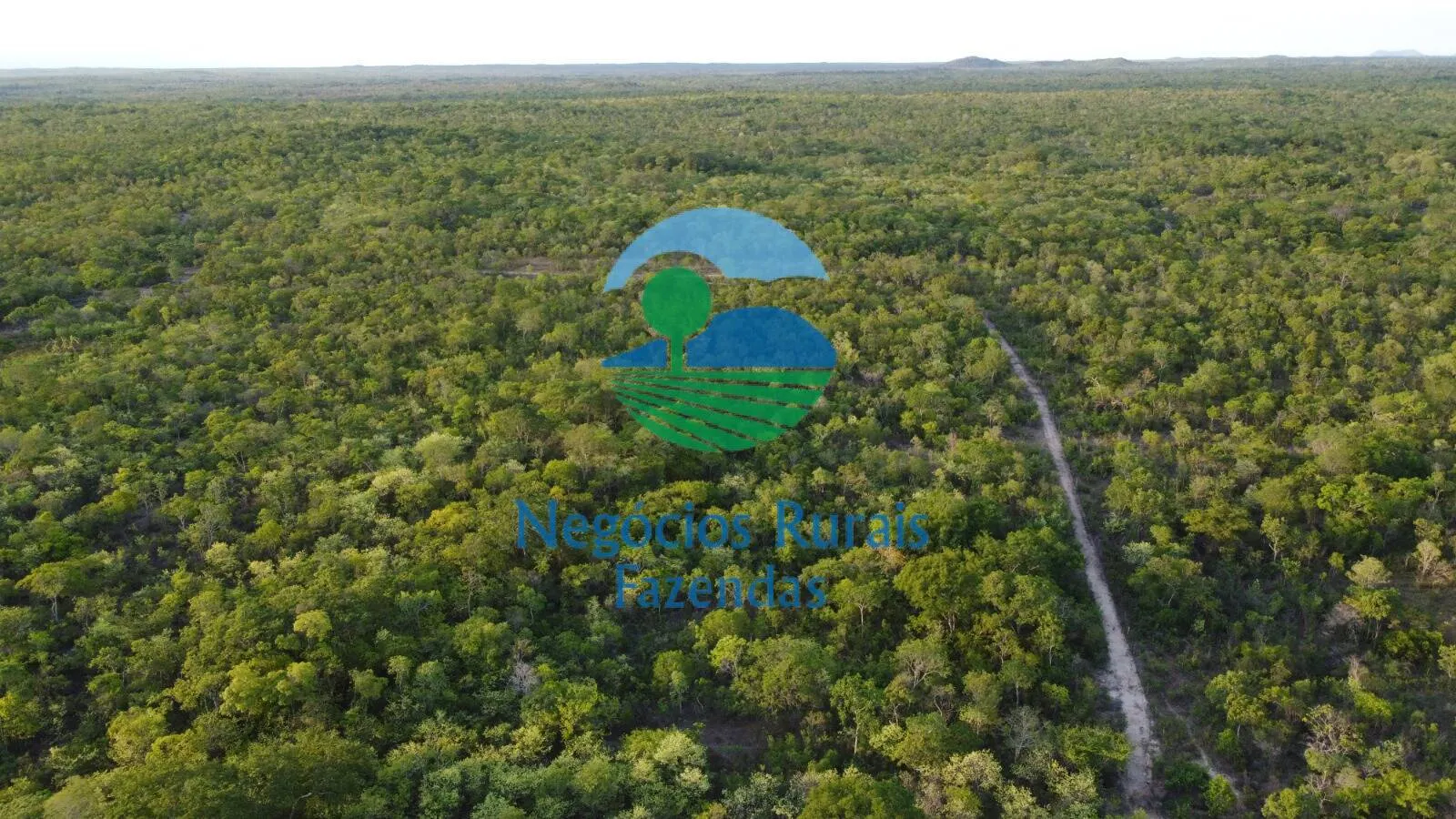Farm for sale of 4,784 acres in Paranã, TO, Brazil