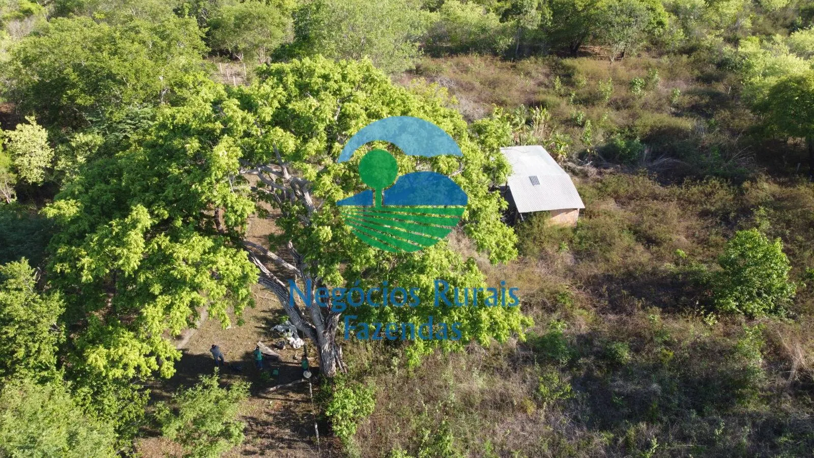 Farm for sale of 4,784 acres in Paranã, TO, Brazil