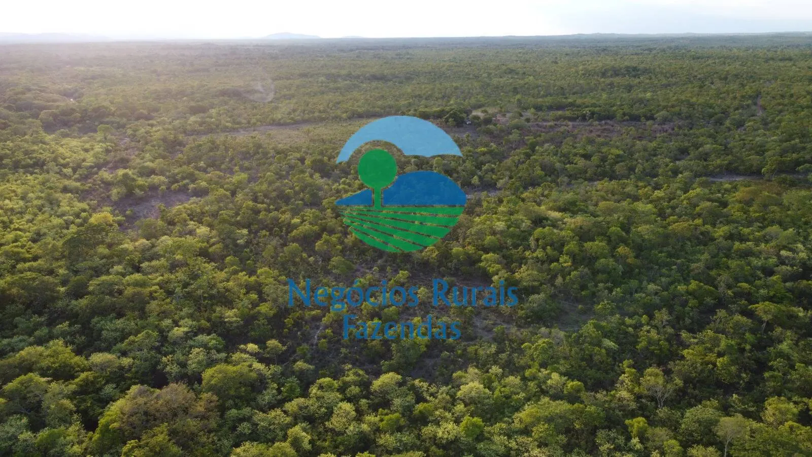 Farm for sale of 4,784 acres in Paranã, TO, Brazil