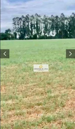 Fazenda à venda de 3.441 ha em Tomazina, PR, Brasil