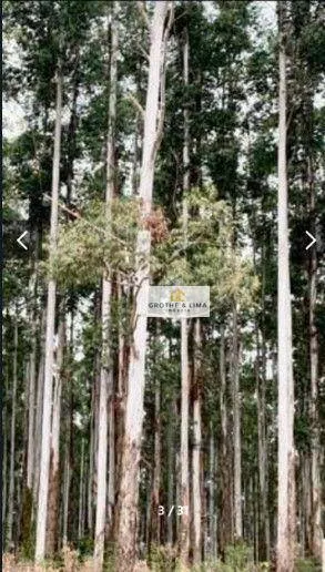 Fazenda à venda de 3.441 ha em Tomazina, PR, Brasil
