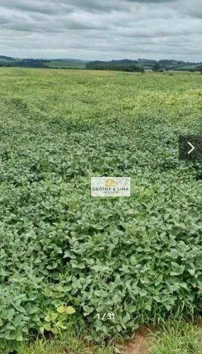 Fazenda à venda de 3.441 ha em Tomazina, PR, Brasil