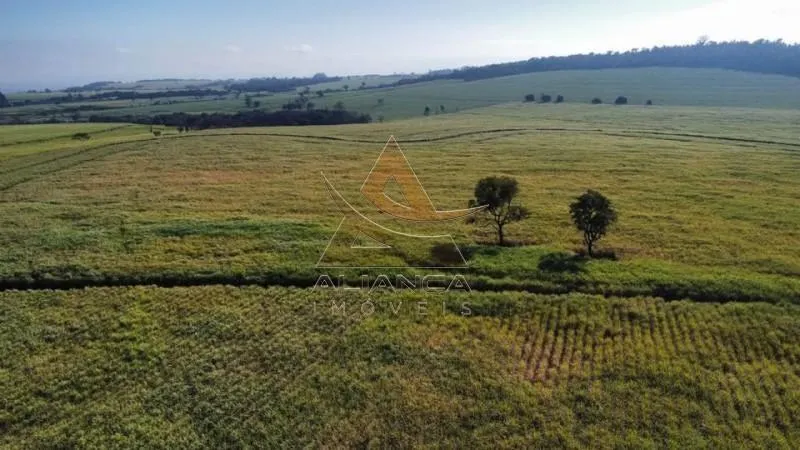 Fazenda à venda de 77 ha em Tambaú, SP, Brasil