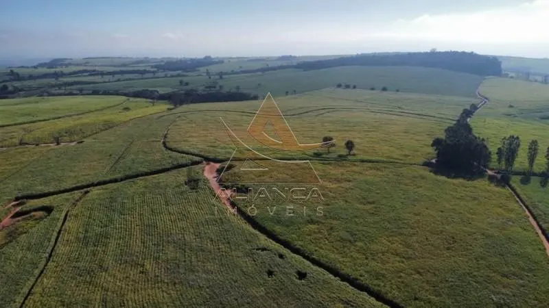 Fazenda à venda de 77 ha em Tambaú, SP, Brasil