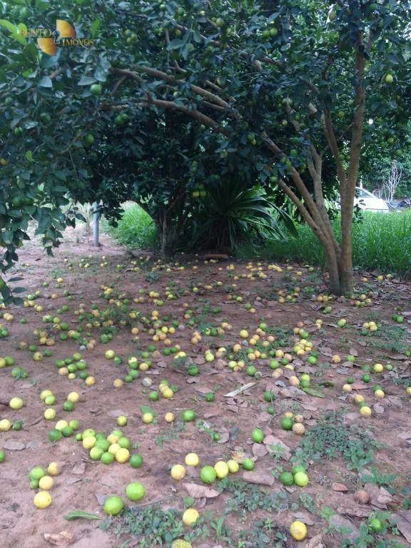 Farm for sale of 3,684 acres in Reserva do Cabaçal, MT, Brazil