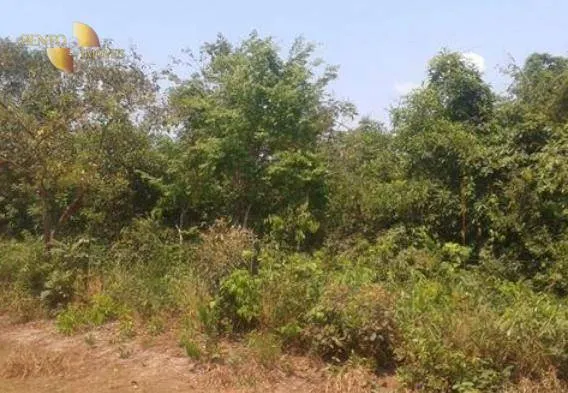 Farm for sale of 3,684 acres in Reserva do Cabaçal, MT, Brazil