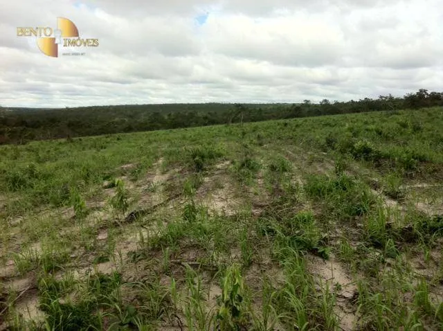 Farm for sale of 3,684 acres in Reserva do Cabaçal, MT, Brazil