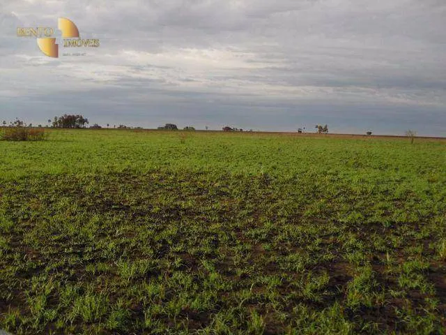 Fazenda à venda e para Arrendar de 55.450 ha em Cáceres, MT, Brasil