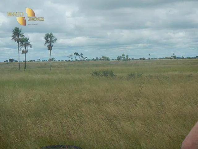 Fazenda à venda e para Arrendar de 55.450 ha em Cáceres, MT, Brasil