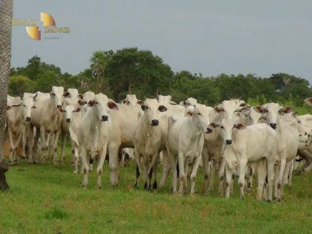 Fazenda à venda e para Arrendar de 55.450 ha em Cáceres, MT, Brasil