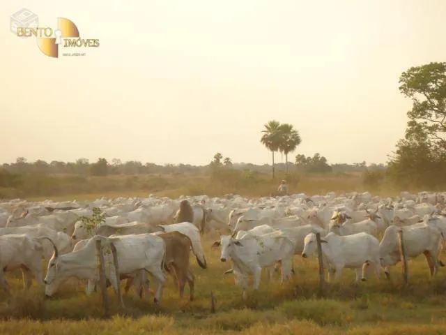 Fazenda à venda e para Arrendar de 55.450 ha em Cáceres, MT, Brasil