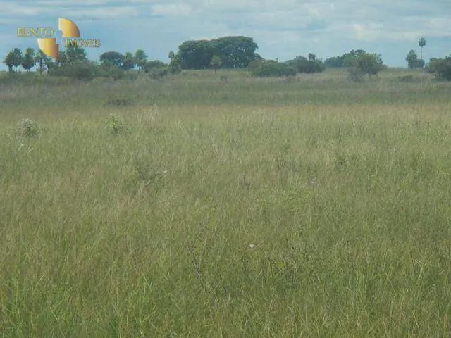 Fazenda à venda e para Arrendar de 55.450 ha em Cáceres, MT, Brasil