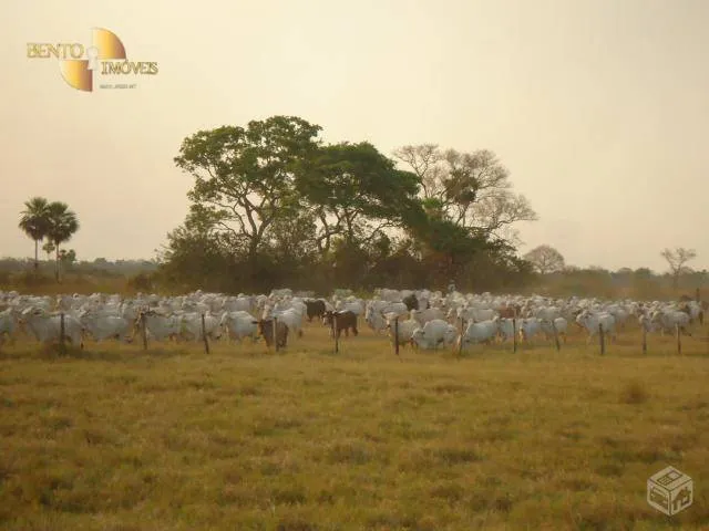 Fazenda à venda e para Arrendar de 55.450 ha em Cáceres, MT, Brasil
